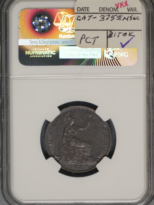 Great Britain 1883 1/2 Penny K-754 NGC UNC DETAILS CORROSION BROACH