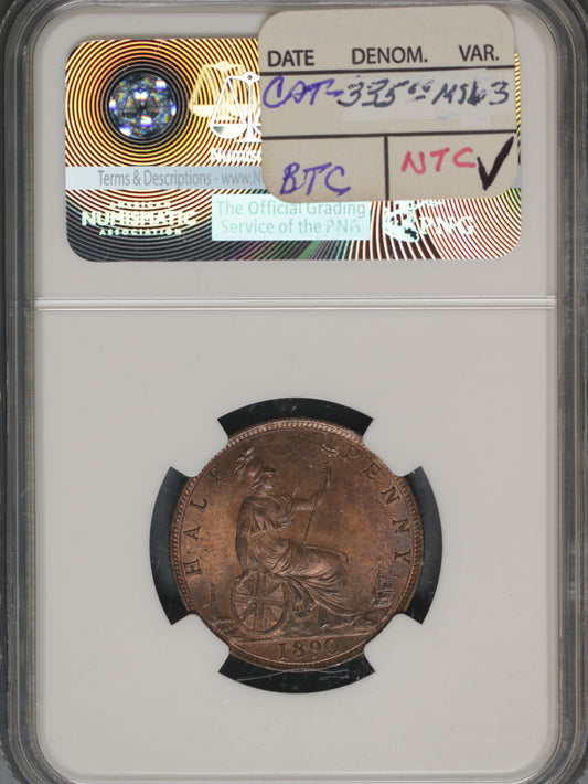 Great Britain 1890 1/2 Penny K-754 NGC MS64 RB