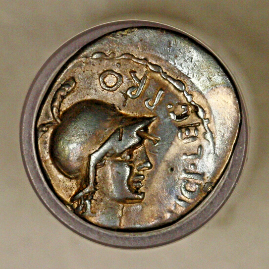 Ancient Roman Imperatorial Coin Gnaeus Pompey Junior D010