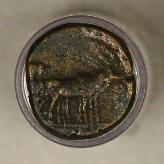 Ancient Roman Provincial Macedonia, Philippi Augustus  27 BC - 14 AD D007