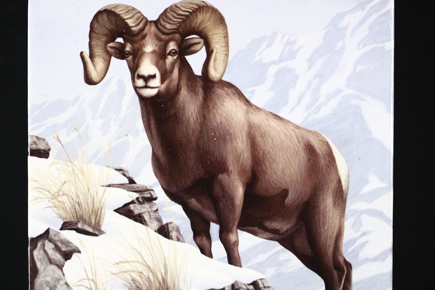 Canada 2014 $100 Bighorn Sheep fine silver coin. C015