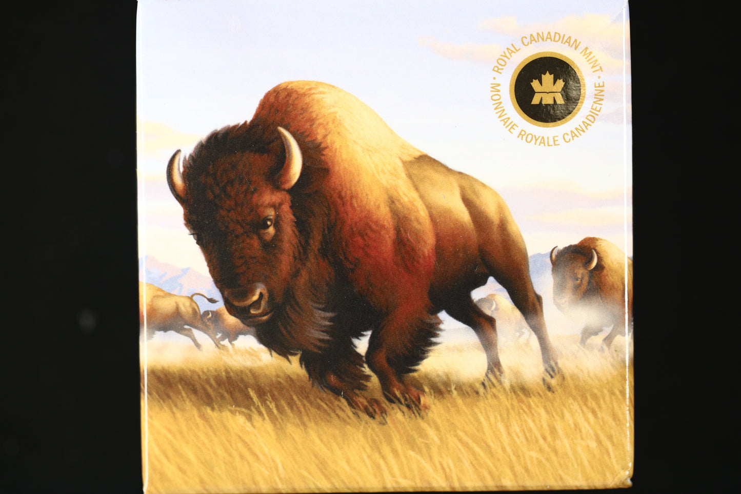Canada 2013 100 Dollar Silver "Bison Stampede" Coin Royal Canadian Mint C009