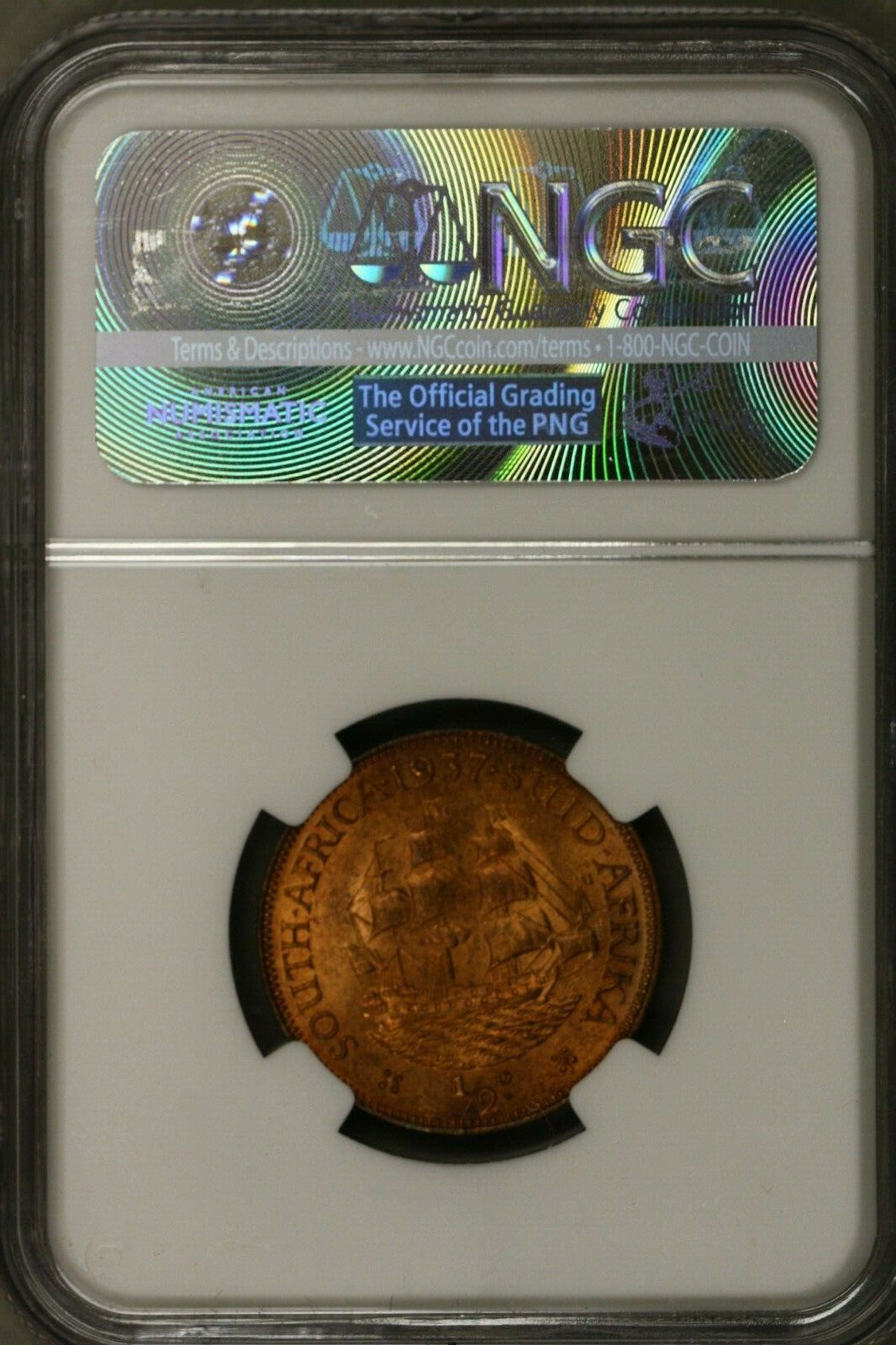 South Africa 1/2 Penny 1937  NGC MS64 RB  only 2 coins graded higher   S133