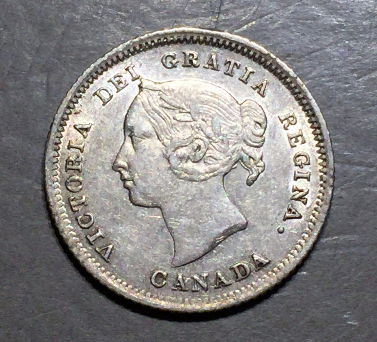 CANADA 1880 H 5 Cents   A242