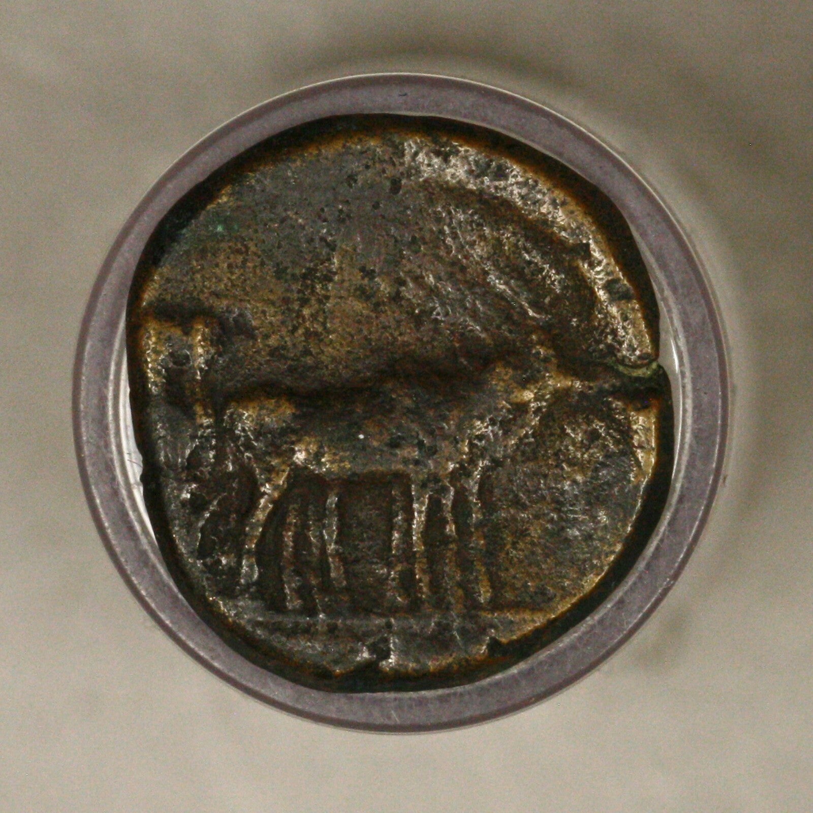 Ancient Roman Provincial Macedonia, Philippi Augustus  27 BC - 14 AD D007