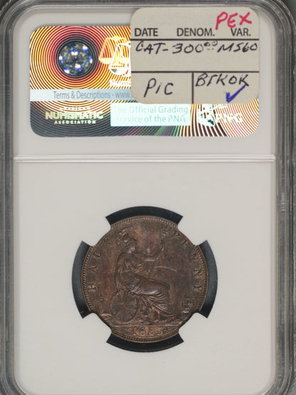 Great Britain 1885 1/2 Penny K-754 NGC AU DETAILS SURFACE HAIRLINES
