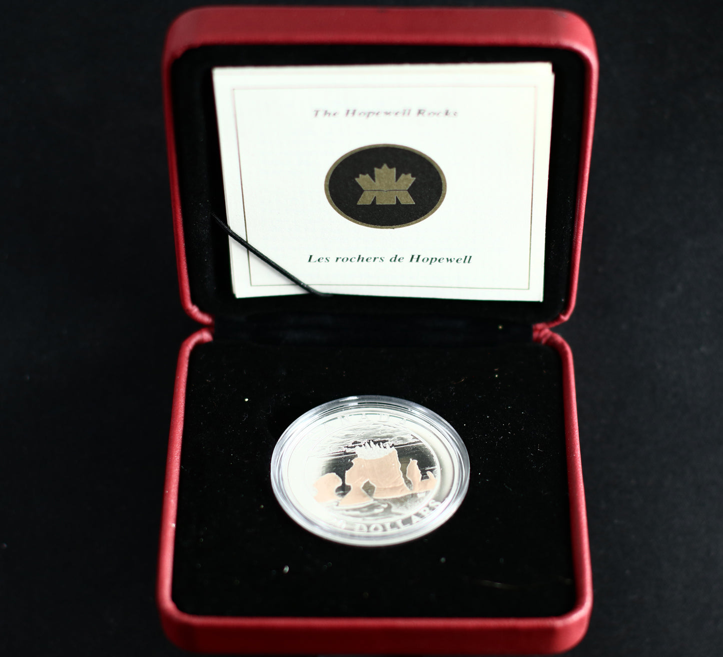 Canada 2004 $20 Hopewell Rocks Silver Coin B595