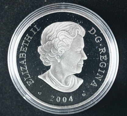 Canada 2004 $20 Hopewell Rocks Silver Coin B595