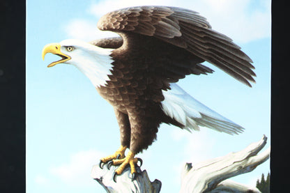 Canada 2014 $100 Fine Silver Coin - Bald Eagle C014