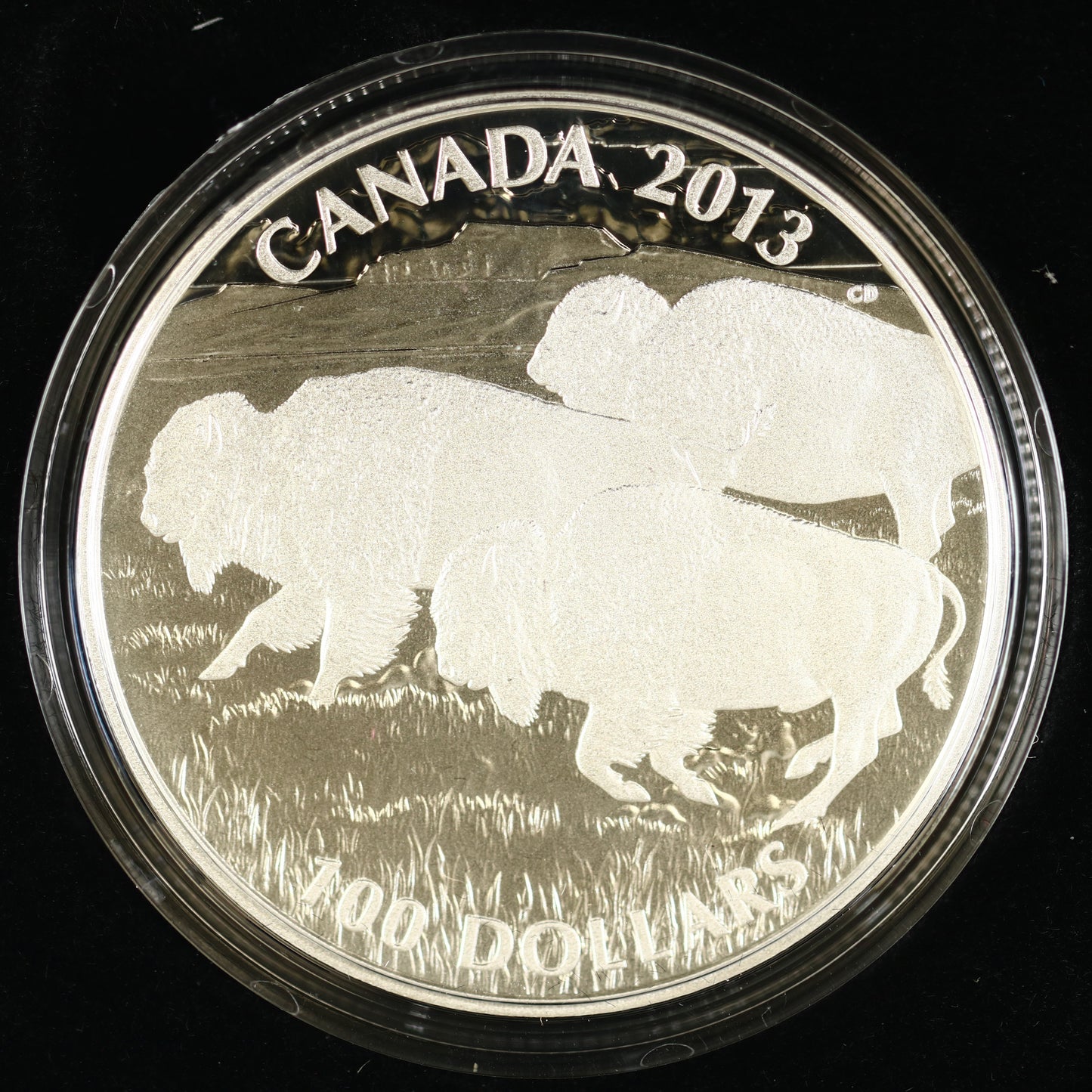 Canada 2013 100 Dollar Silver "Bison Stampede" Coin Royal Canadian Mint C009