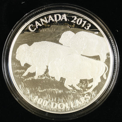 Canada 2013 100 Dollar Silver "Bison Stampede" Coin Royal Canadian Mint C009