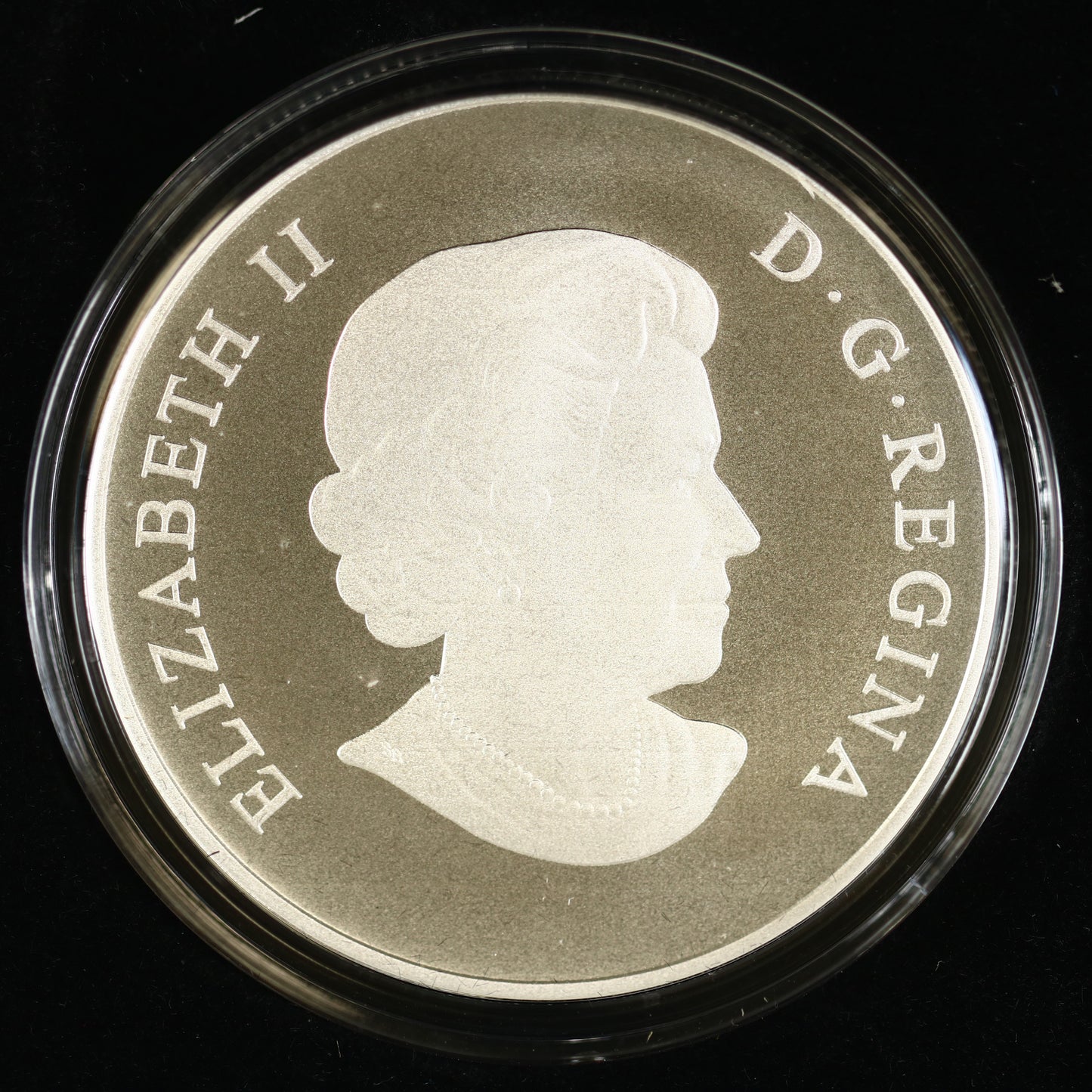 Canada 2013 100 Dollar Silver "Bison Stampede" Coin Royal Canadian Mint C009