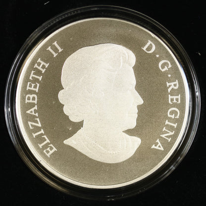 Canada 2013 100 Dollar Silver "Bison Stampede" Coin Royal Canadian Mint C009