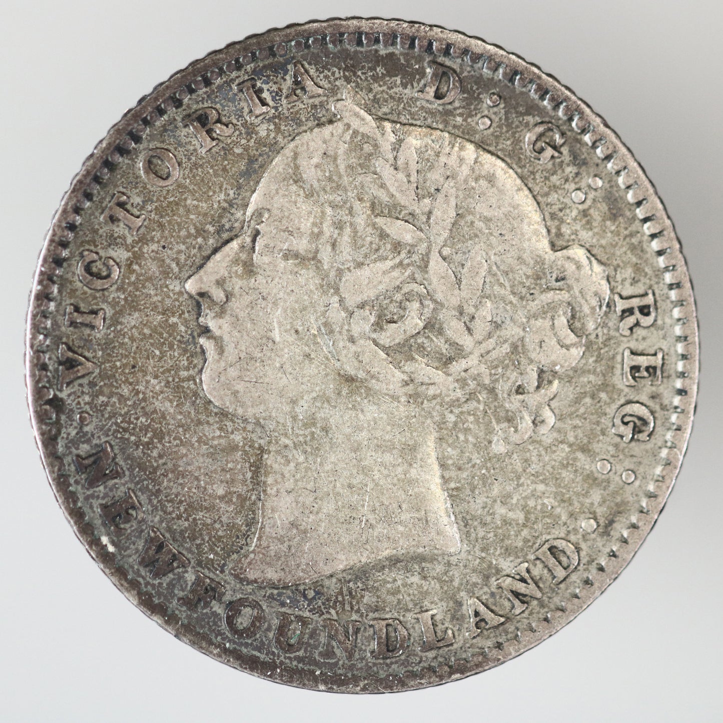 Newfoundland 1890 10 Cent A3601