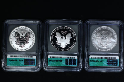 United States 2006 W 20th Anniversary American Eagle Satin, Proof, Reverse Proof Set P787